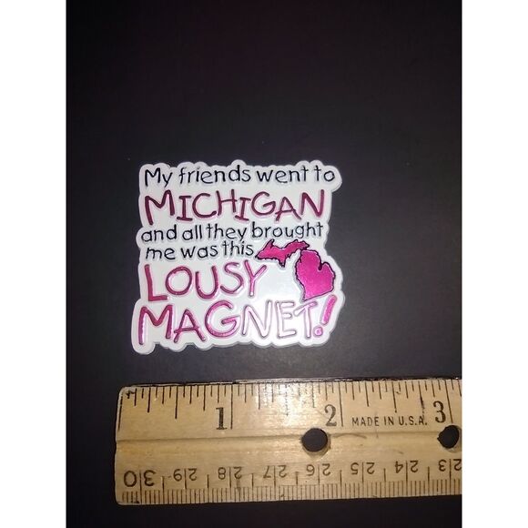 Michigan Friends All They Brought Me Was This Lousy‎ Magnet Travel Souvenir Gift - Picture 3 of 5